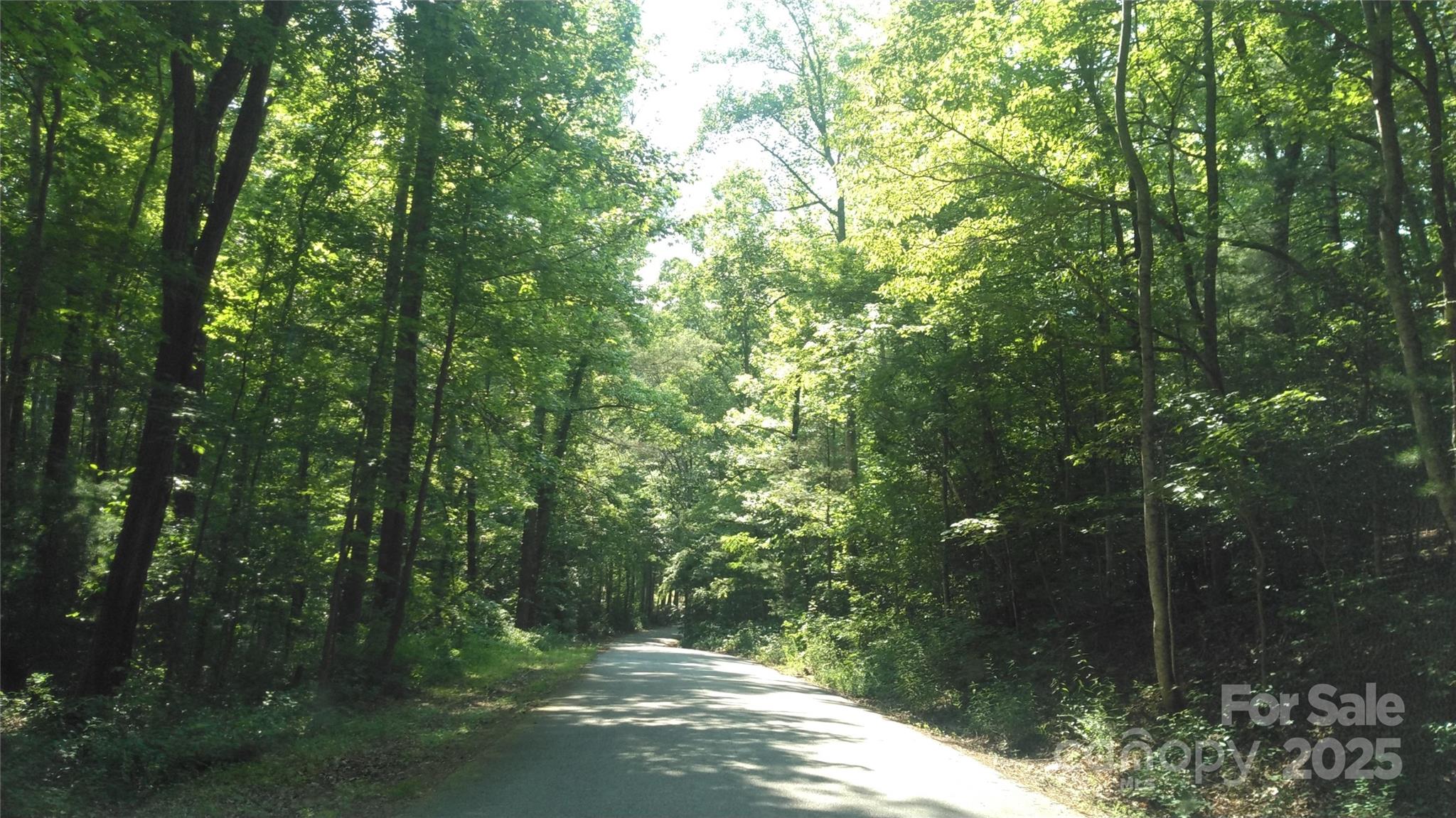 Lot 17 Deer Ridge Trail Property Photo 8