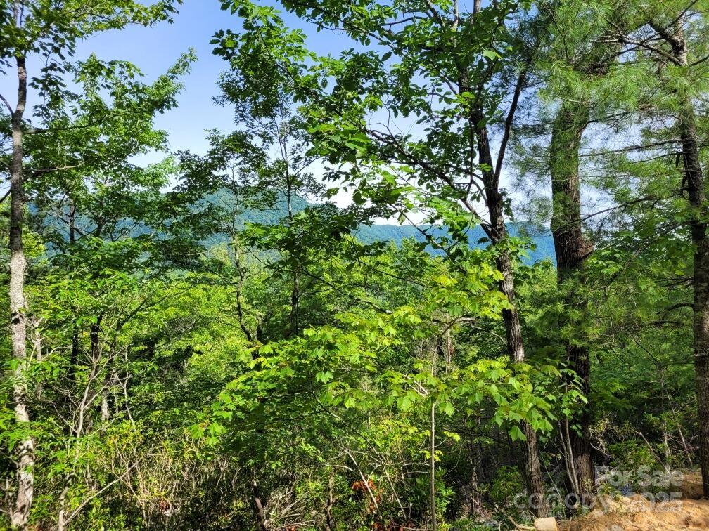 Lot 12/13b Quail Drive Property Photo 7