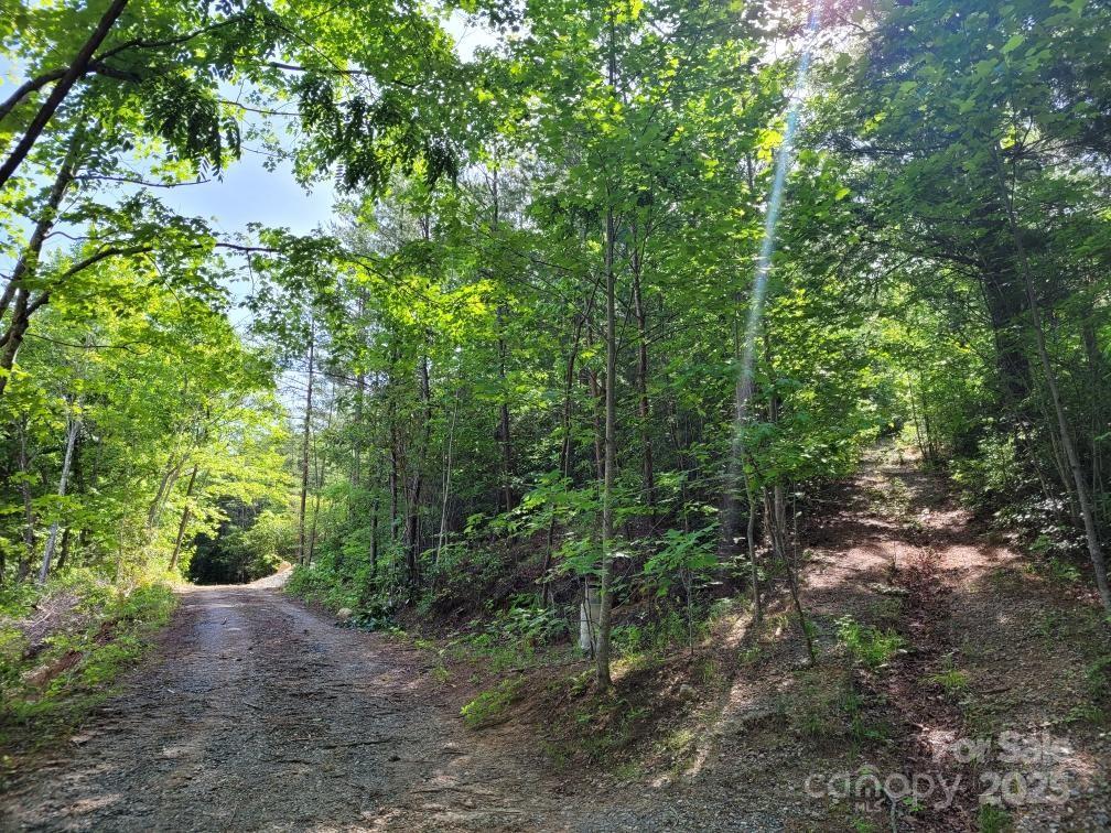 Lot 12/13b Quail Drive Property Photo 8