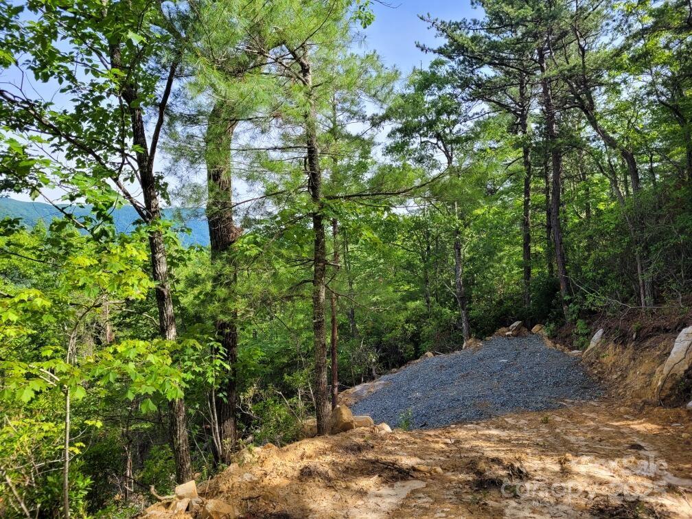 Lot 12/13b Quail Drive Property Photo 10