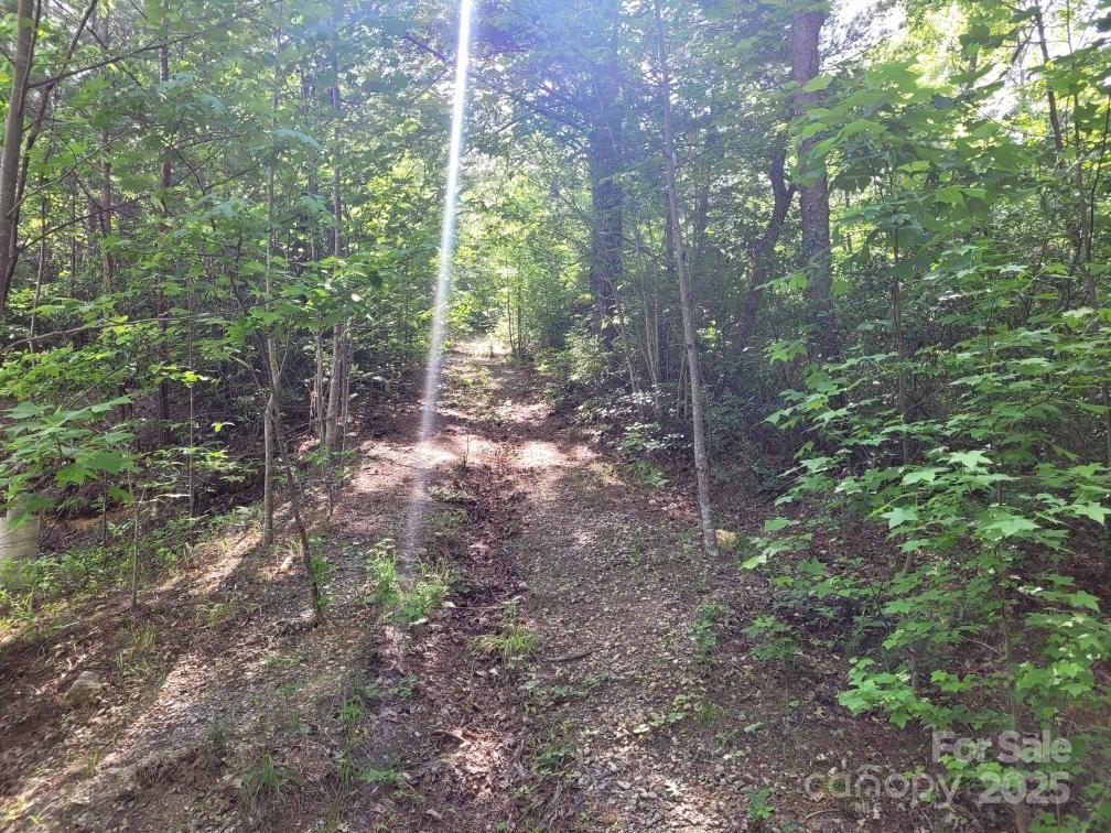 Lot 12/13b Quail Drive Property Photo 11