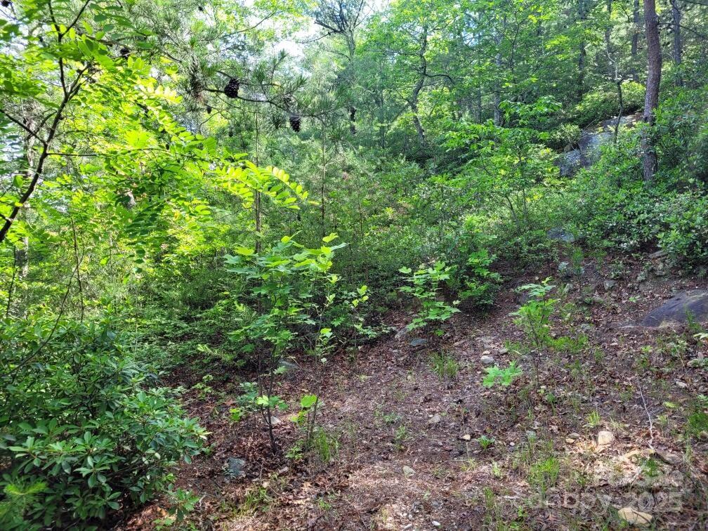 Lot 12/13b Quail Drive Property Photo 12