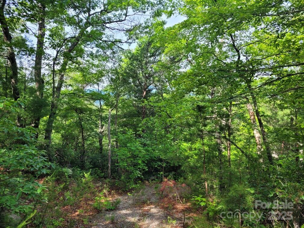 Lot 12/13b Quail Drive Property Photo 13