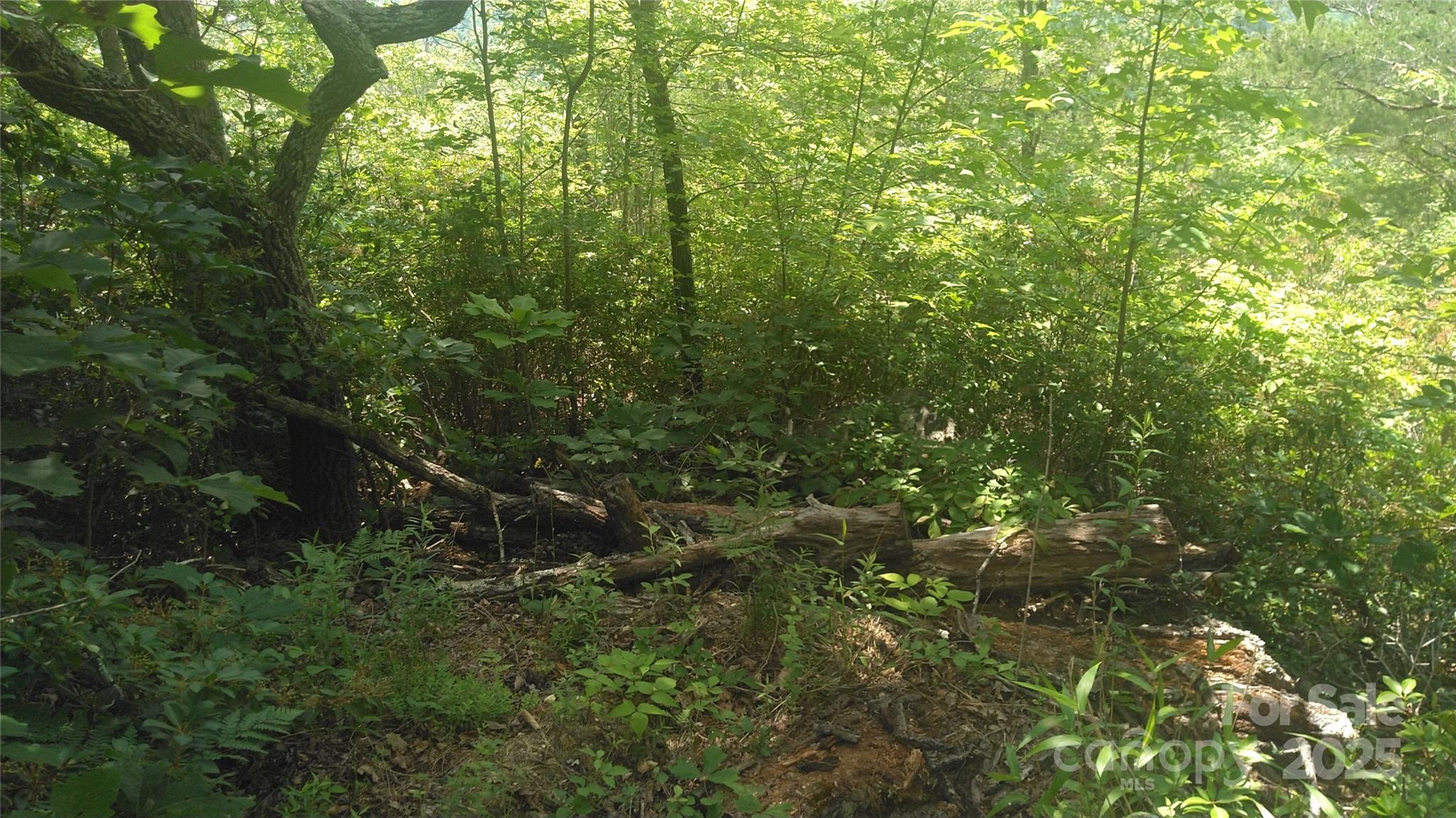 Lot 2f Seminole Path Property Photo 5