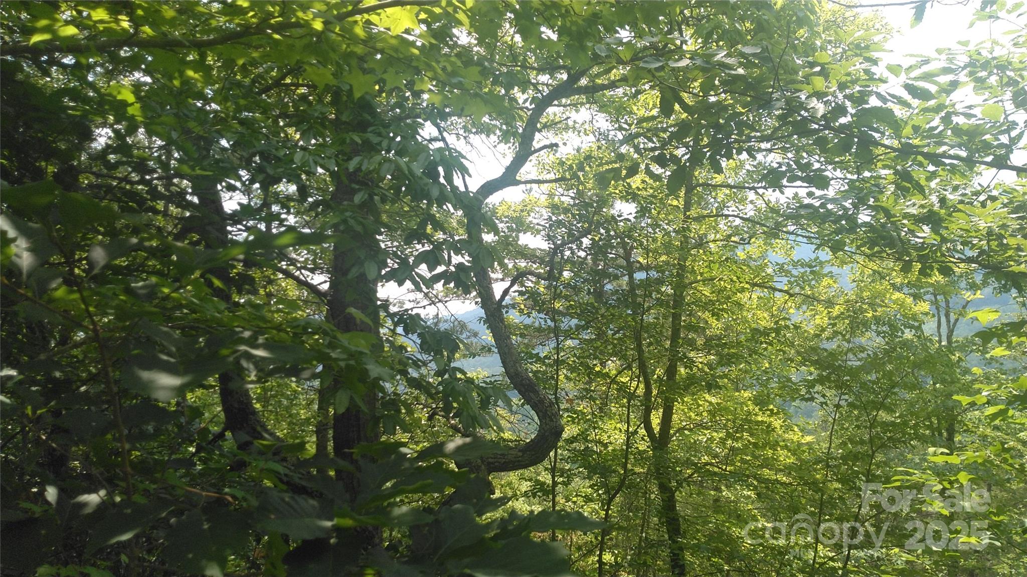 Lot 2f Seminole Path Property Photo 6