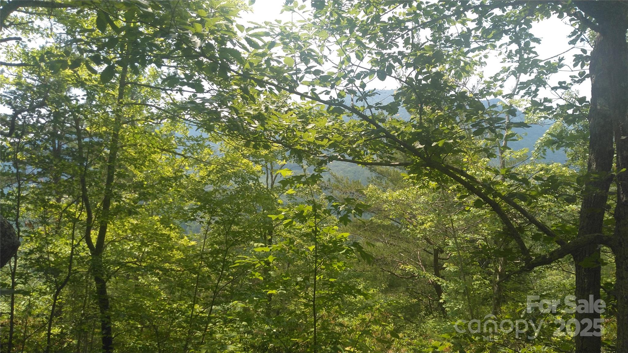 Lot 2f Seminole Path Property Photo 7