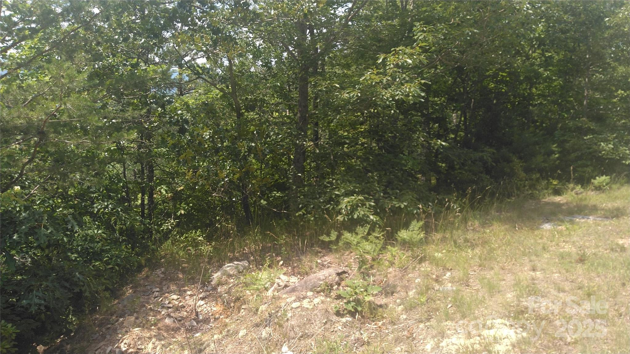 Lot 2f Seminole Path Property Photo 9