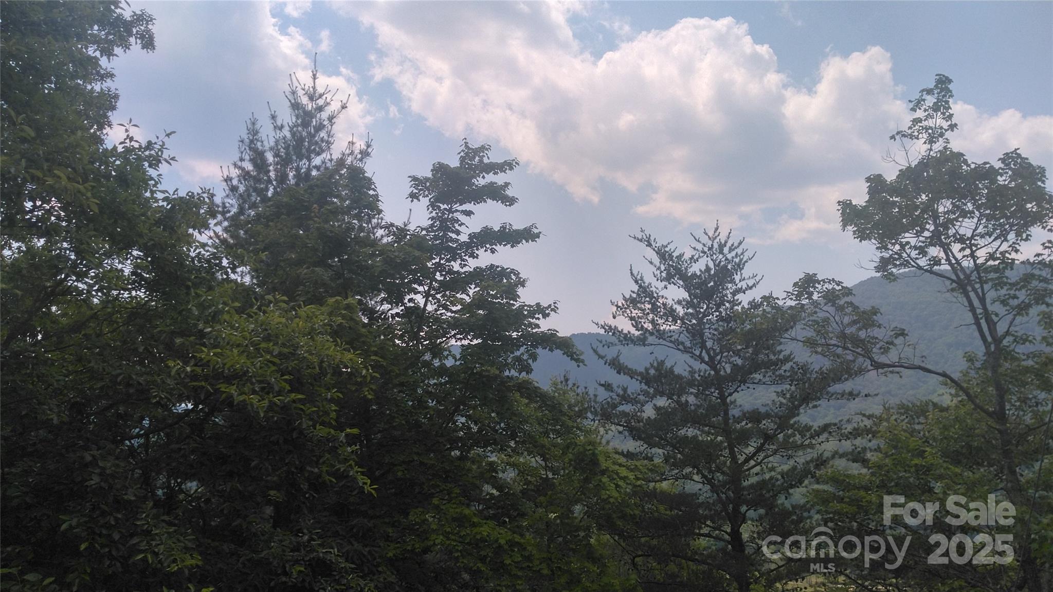 Lot 2f Seminole Path Property Photo 11