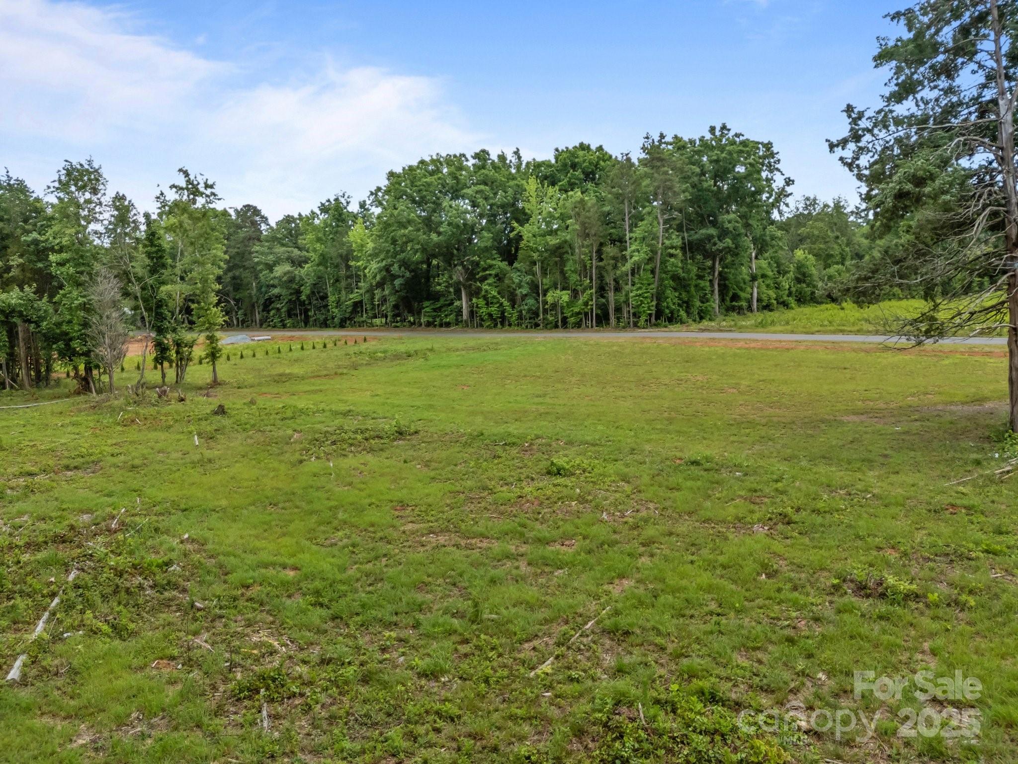 246 Elderberry Lane Property Photo 6