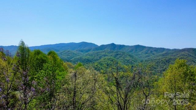 00 Smoky View Drive Property Photo 1