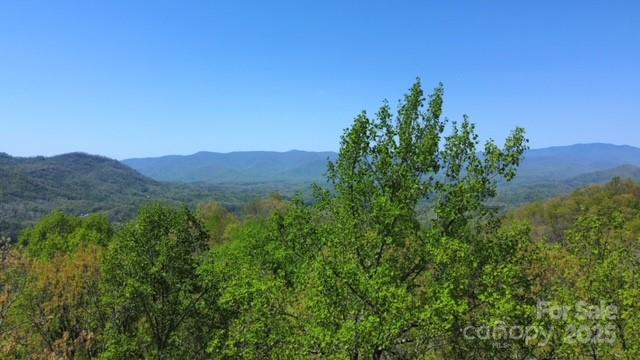 00 Smoky View Drive Property Photo 2