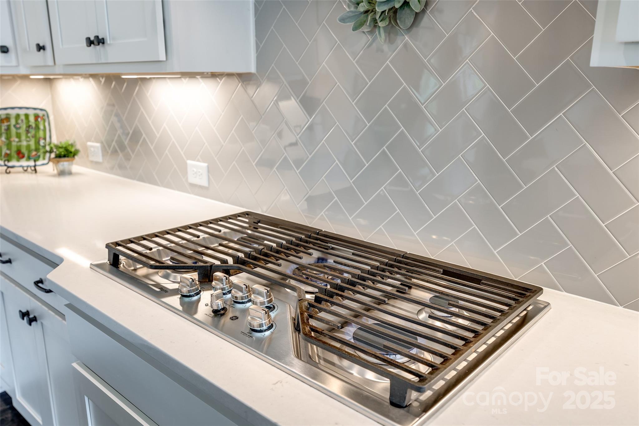 3041 Winged Teal Court Property Photo 16