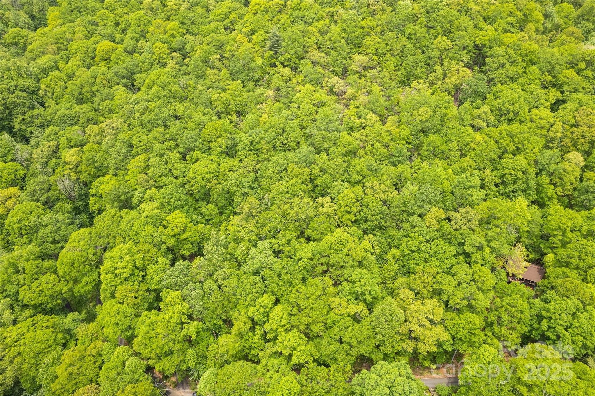 Lot 4 & 5 Blk 3 Skyline Drive Property Photo 2