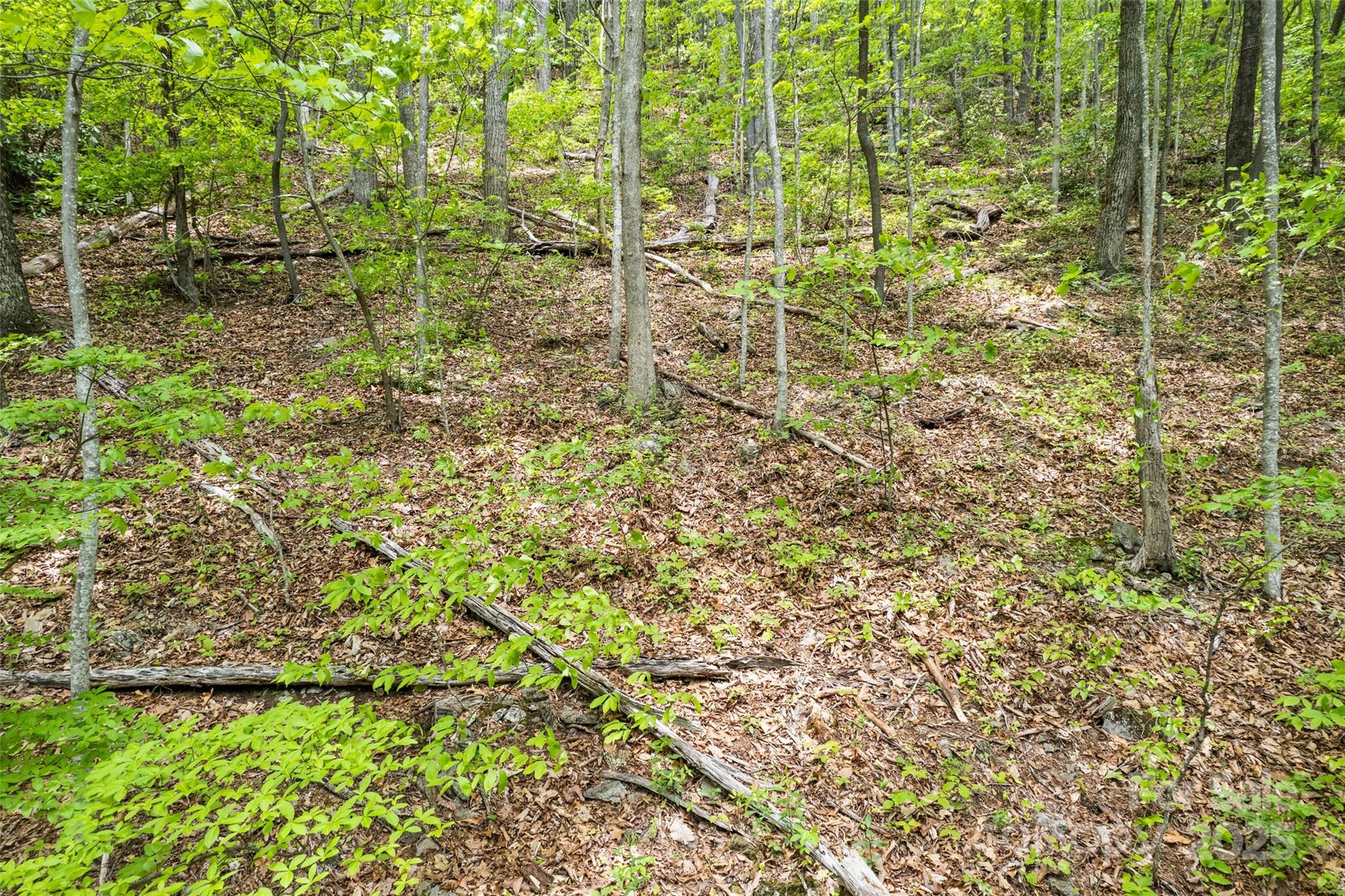 Lot 4 & 5 Blk 3 Skyline Drive Property Photo 4