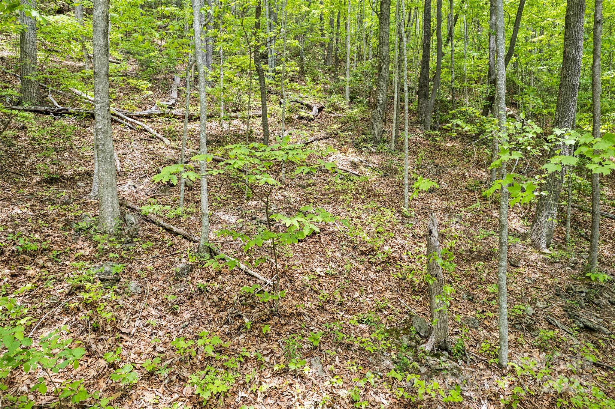 Lot 4 & 5 Blk 3 Skyline Drive Property Photo 6