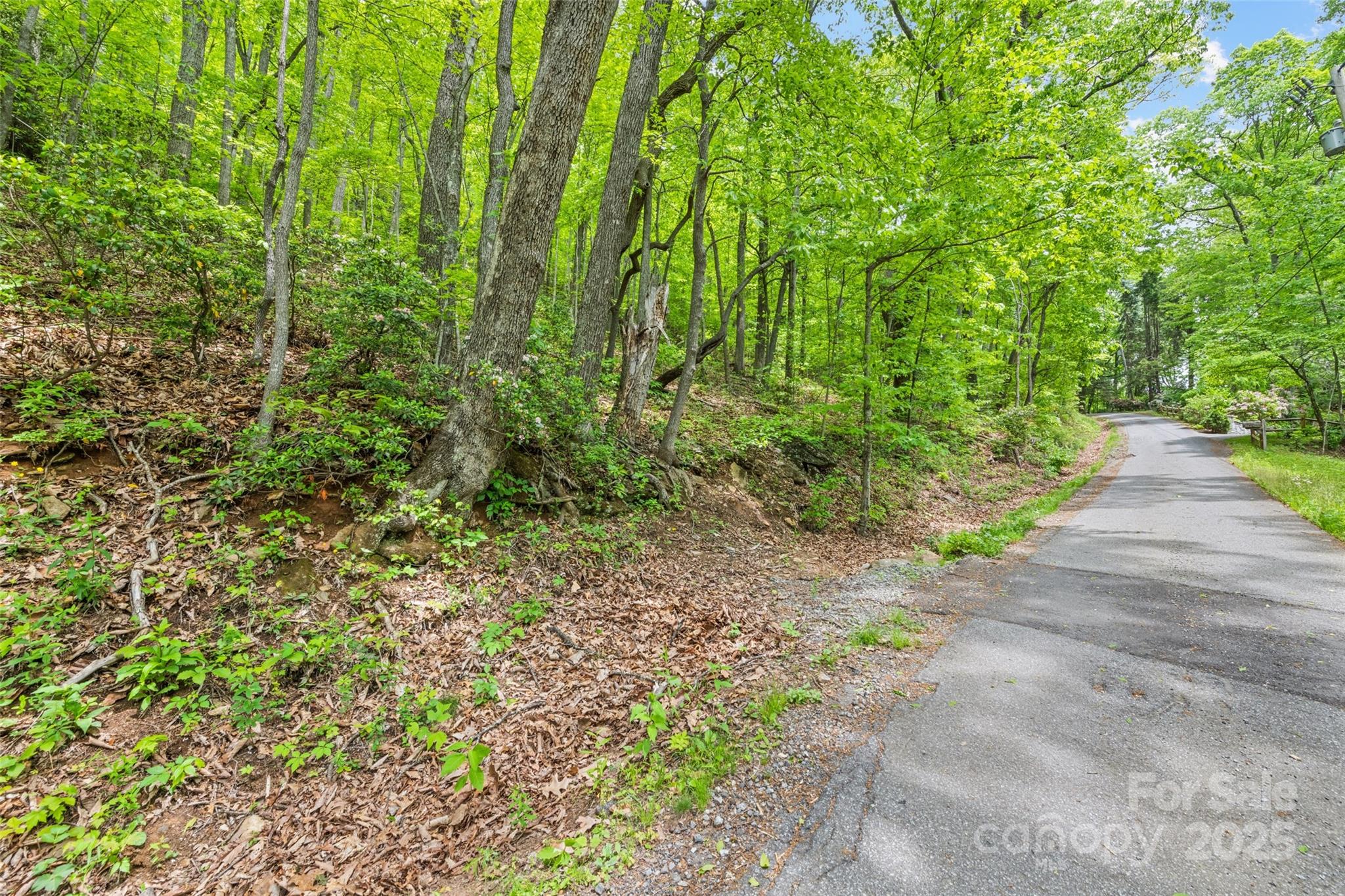 Lot 4 & 5 Blk 3 Skyline Drive Property Photo 7