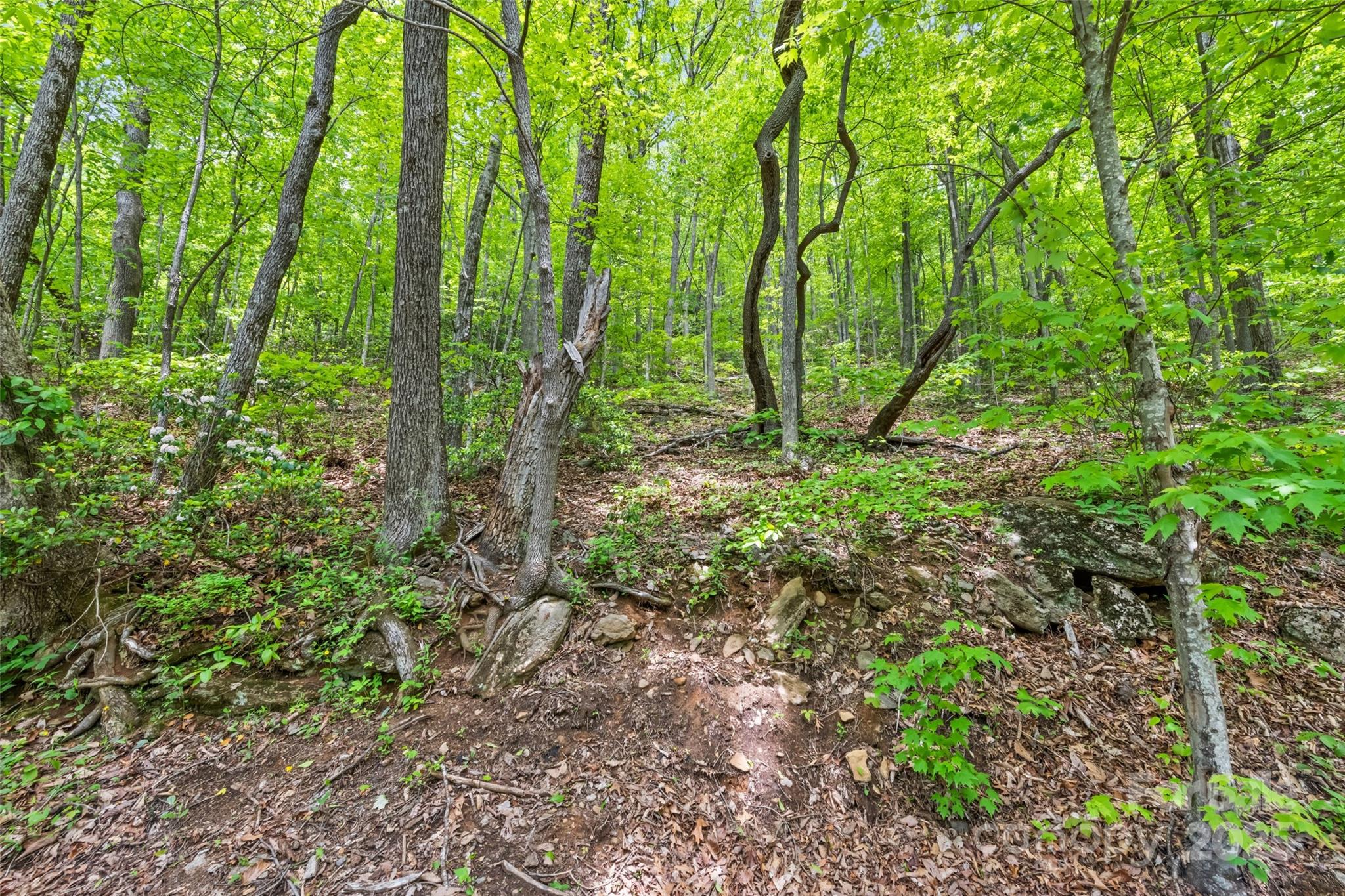 Lot 4 & 5 Blk 3 Skyline Drive Property Photo 8