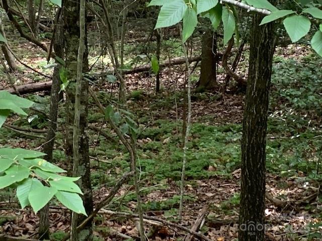 7.67 Ac. Holbert Cove Road 7.67 Ac. Property Photo 5