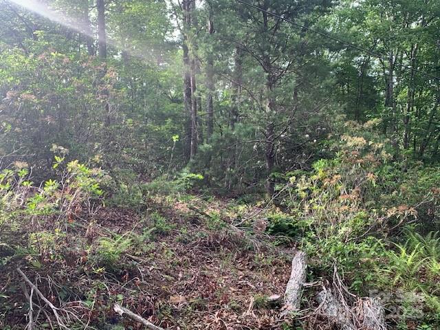 7.67 Ac. Holbert Cove Road 7.67 Ac. Property Photo 7