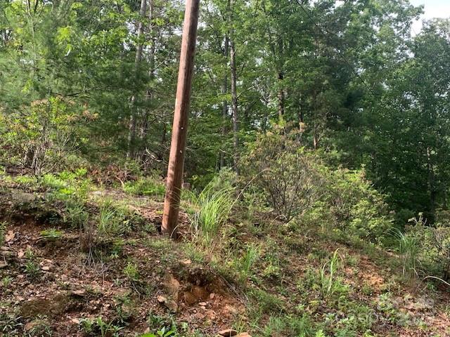 7.67 Ac. Holbert Cove Road 7.67 Ac. Property Photo 9