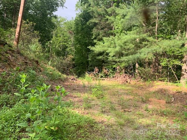 7.67 Ac. Holbert Cove Road 7.67 Ac. Property Photo 10