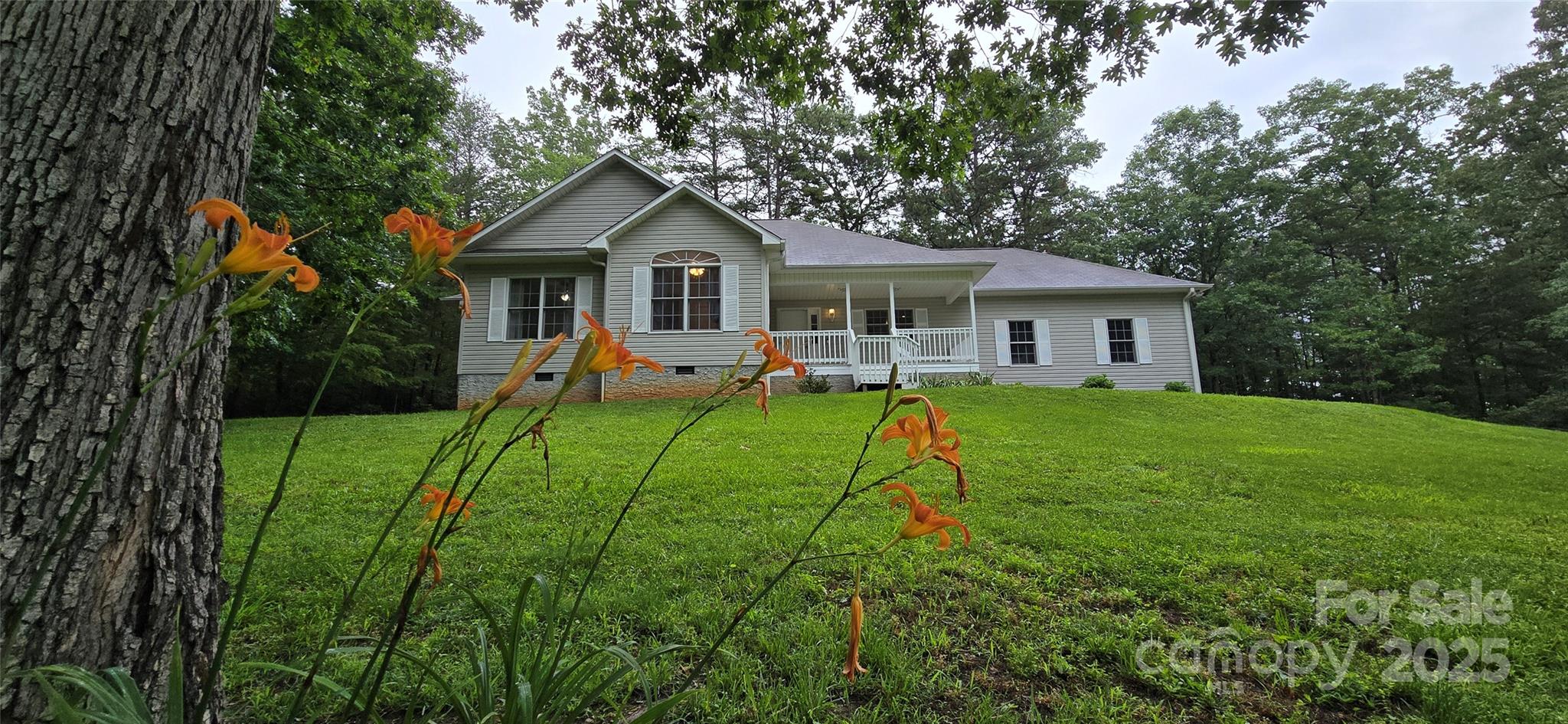 221 Flat Branch Trail Property Photo 29