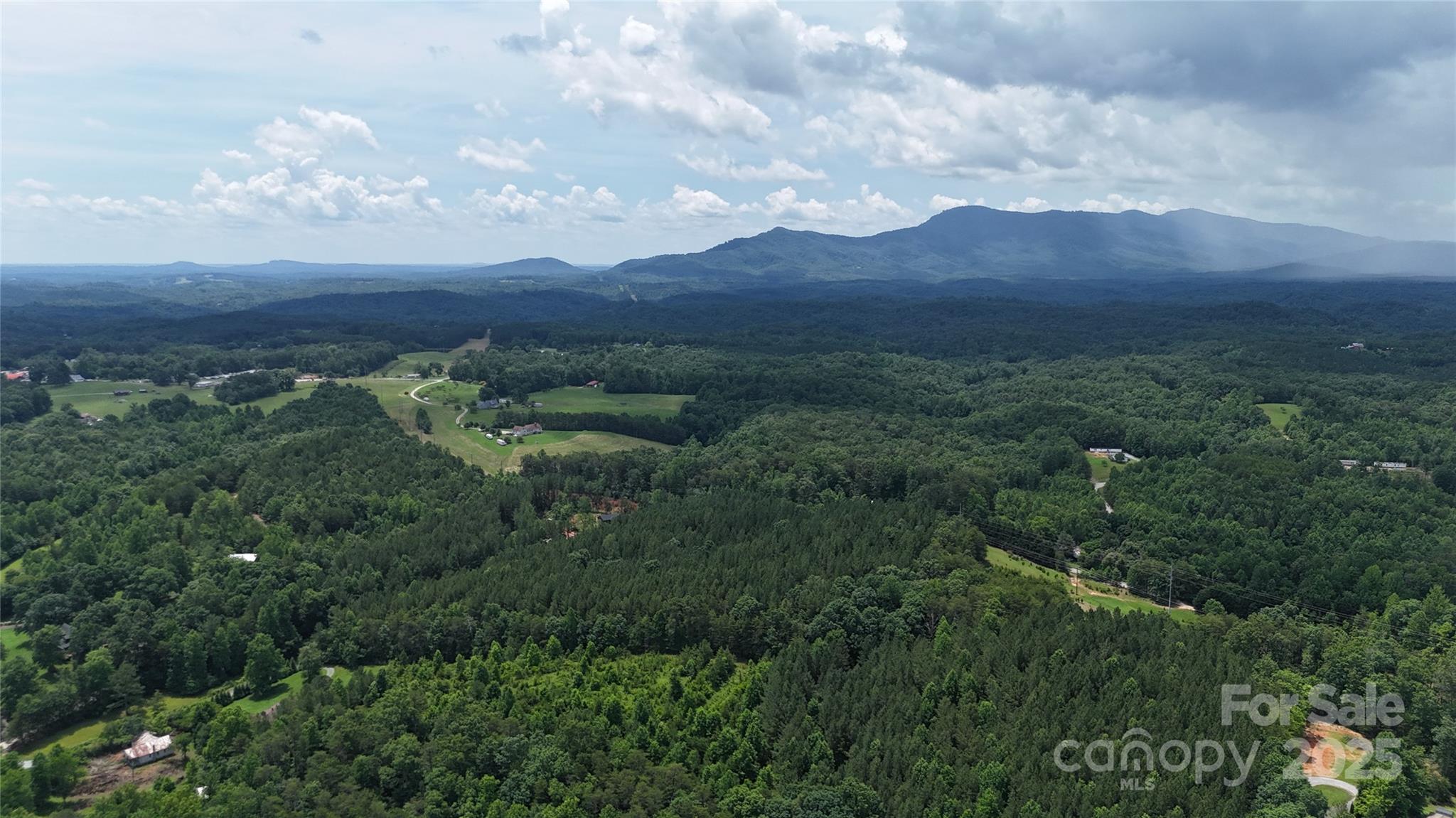 221 Flat Branch Trail Property Photo 30