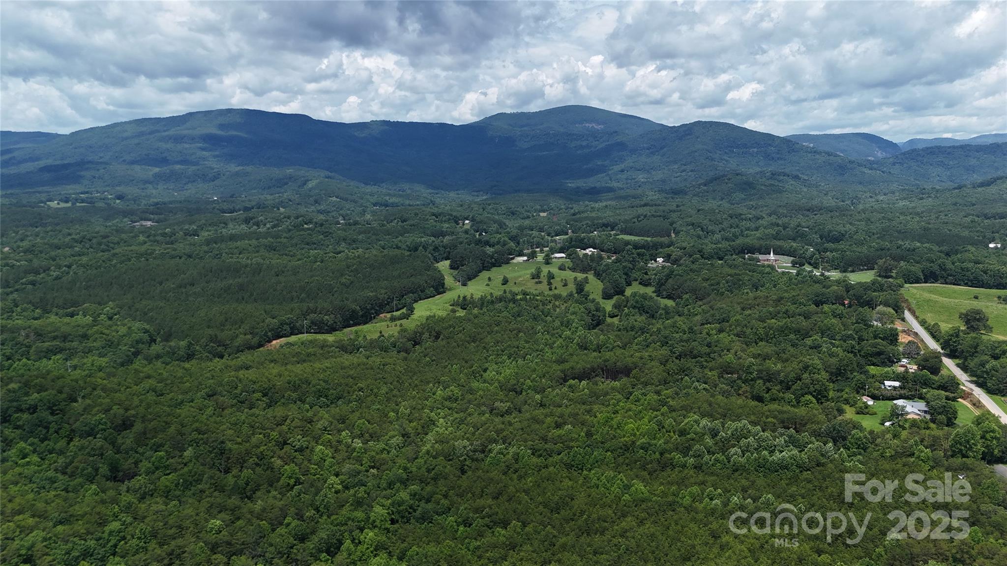 221 Flat Branch Trail Property Photo 31