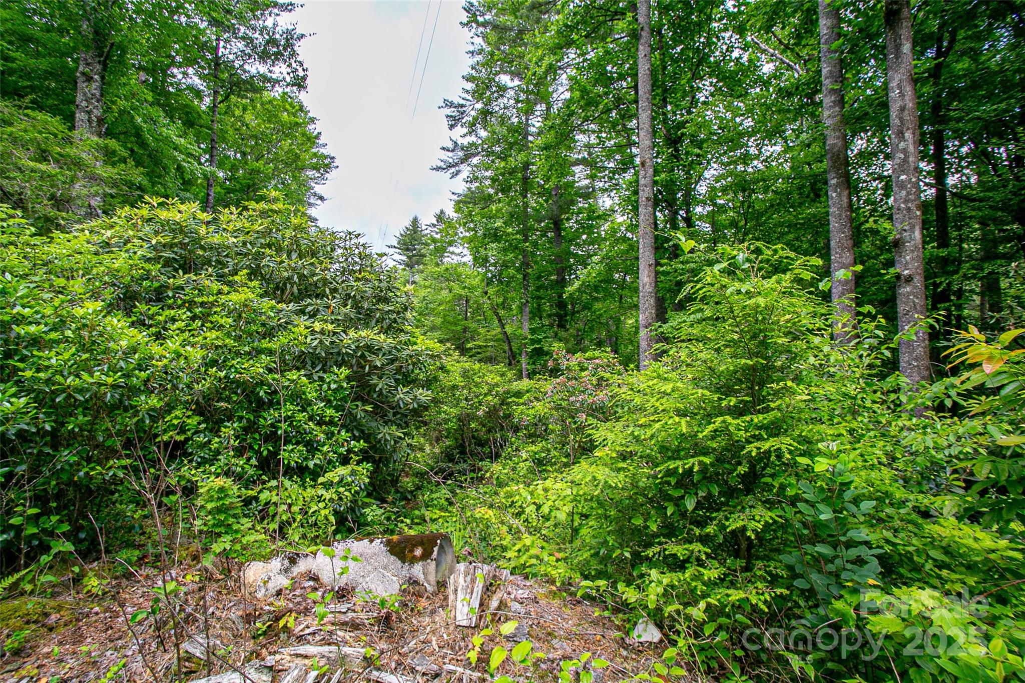 000 Blue Ridge Road Property Photo 14