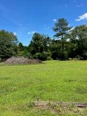 0 Rock Hill Lane Property Photo 2