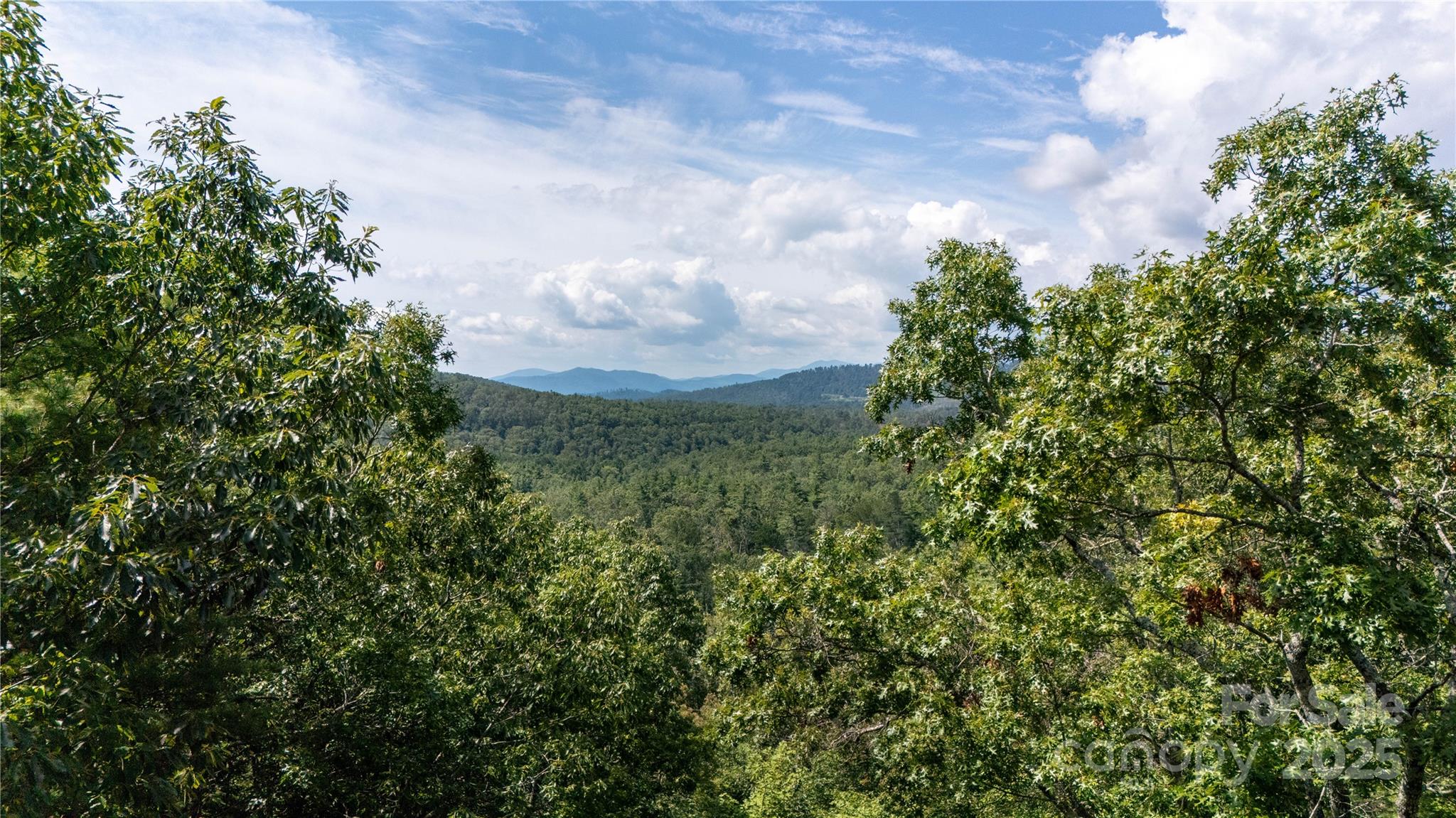 0000 Humpback Mountain Road Property Photo 1