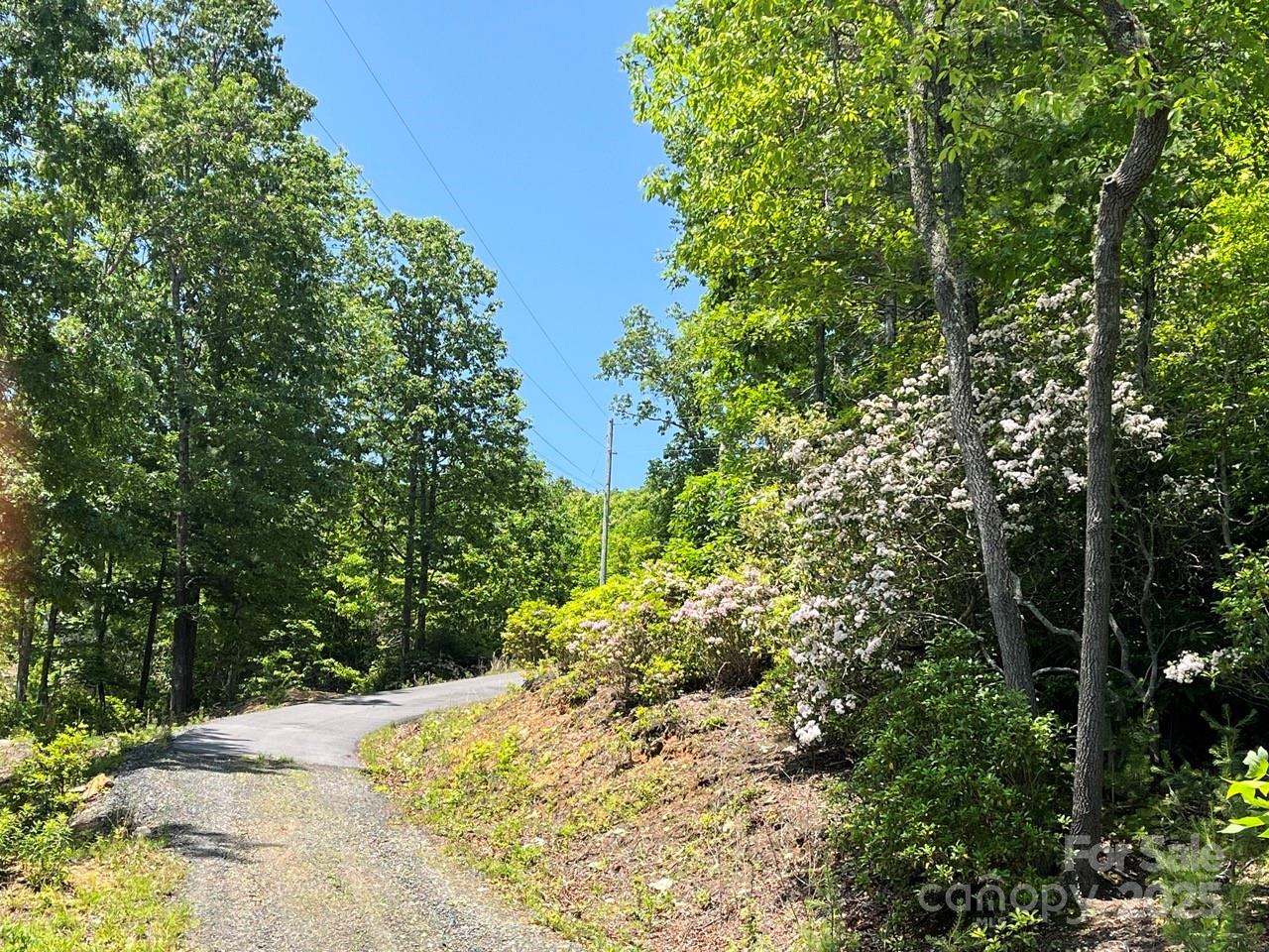0000 Humpback Mountain Road Property Photo 6