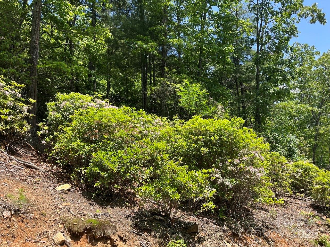 0000 Humpback Mountain Road Property Photo 7