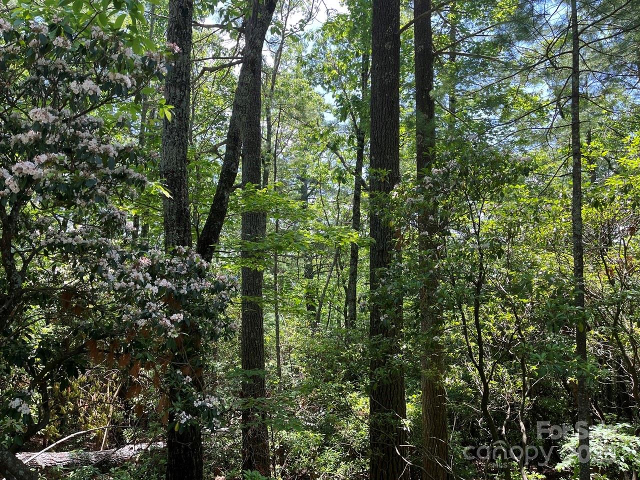 0000 Humpback Mountain Road Property Photo 8