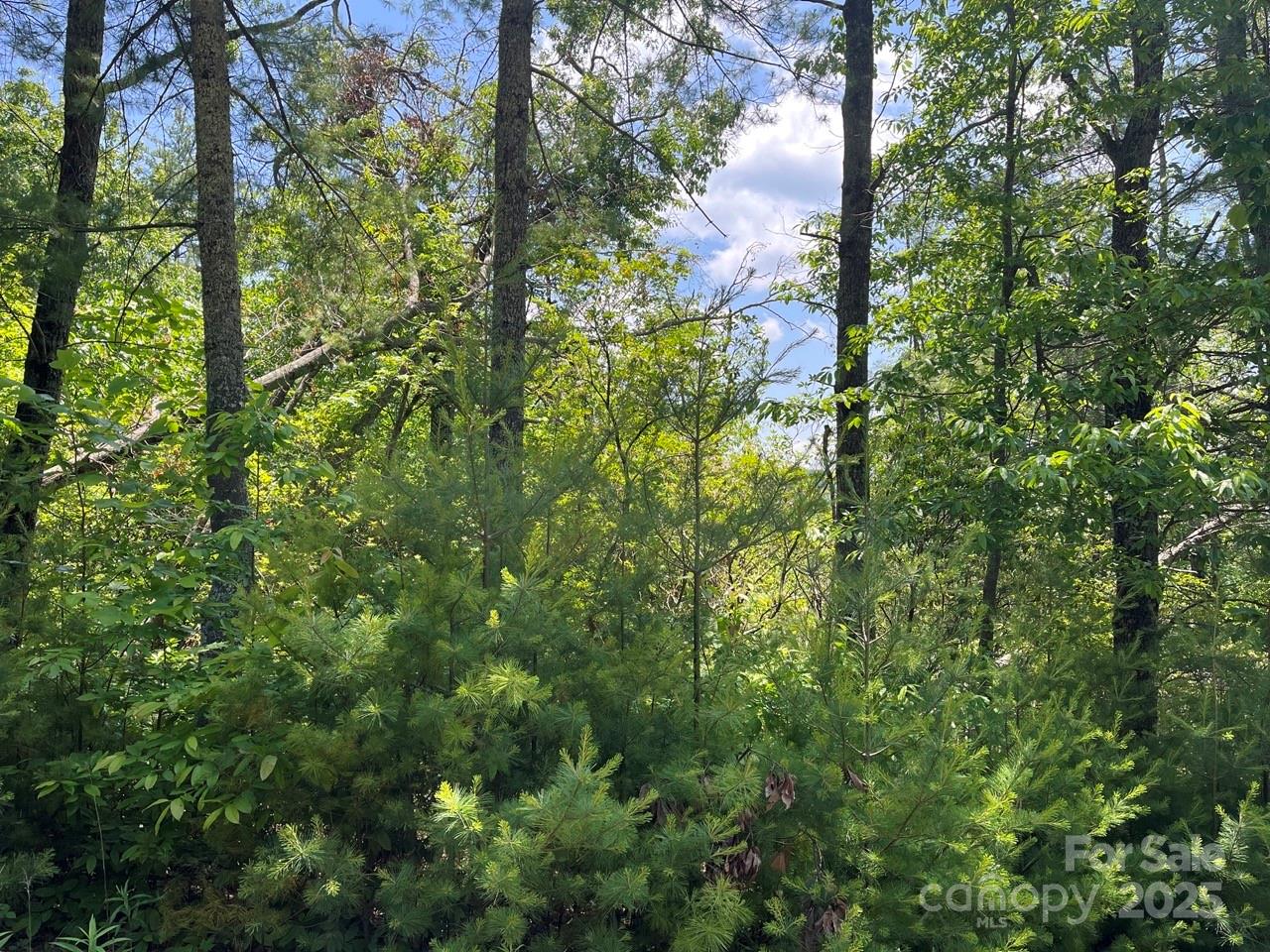 0000 Humpback Mountain Road Property Photo 9