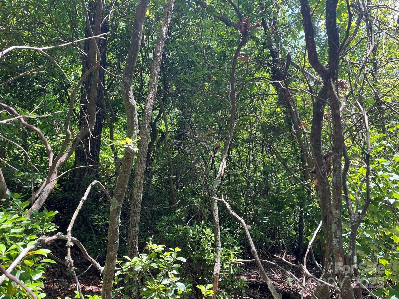 0000 Humpback Mountain Road Property Photo 10