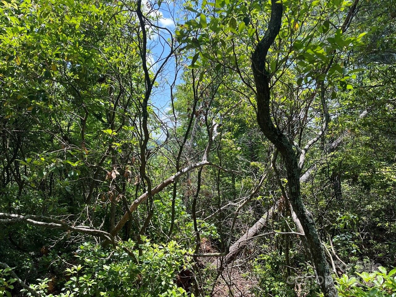 0000 Humpback Mountain Road Property Photo 11