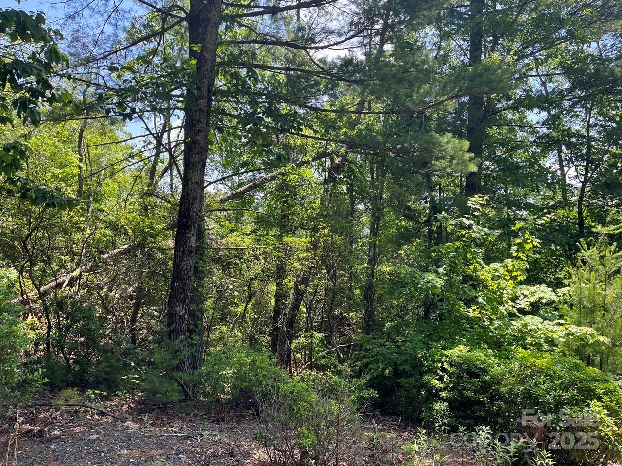 0000 Humpback Mountain Road Property Photo 12