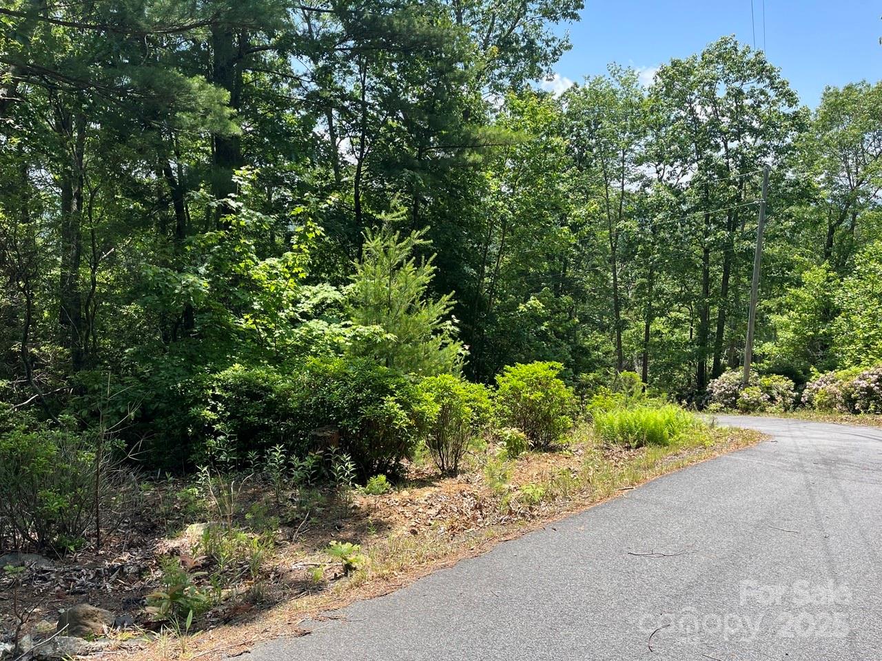 0000 Humpback Mountain Road Property Photo 13