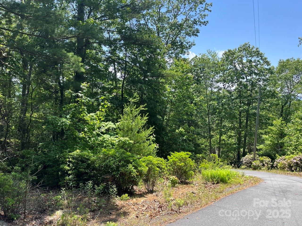 0000 Humpback Mountain Road Property Photo 14
