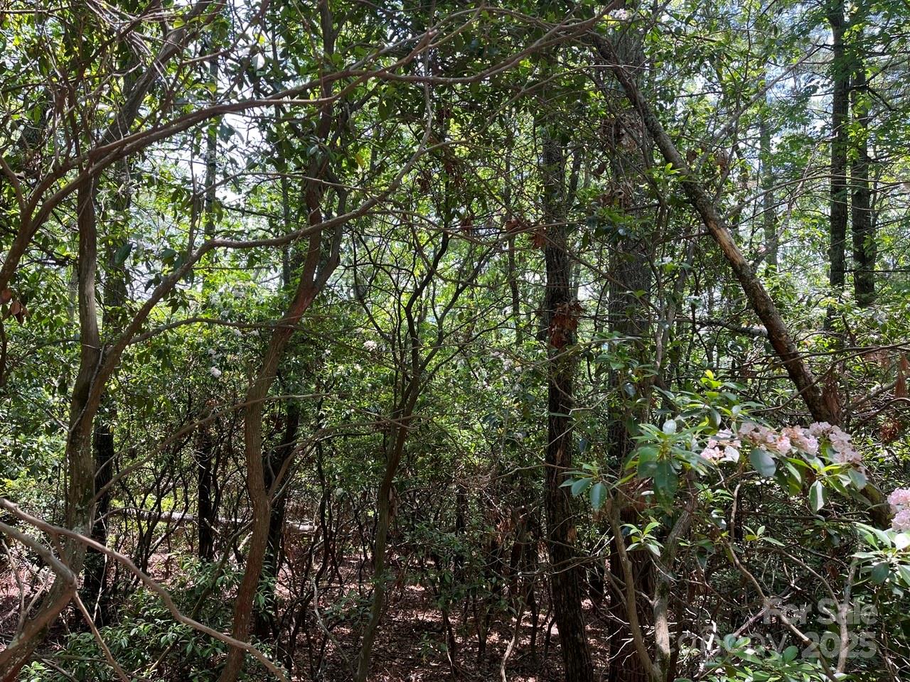 0000 Humpback Mountain Road Property Photo 16