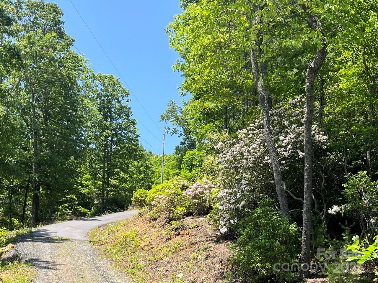 0000 Humpback Mountain Road Property Photo 17