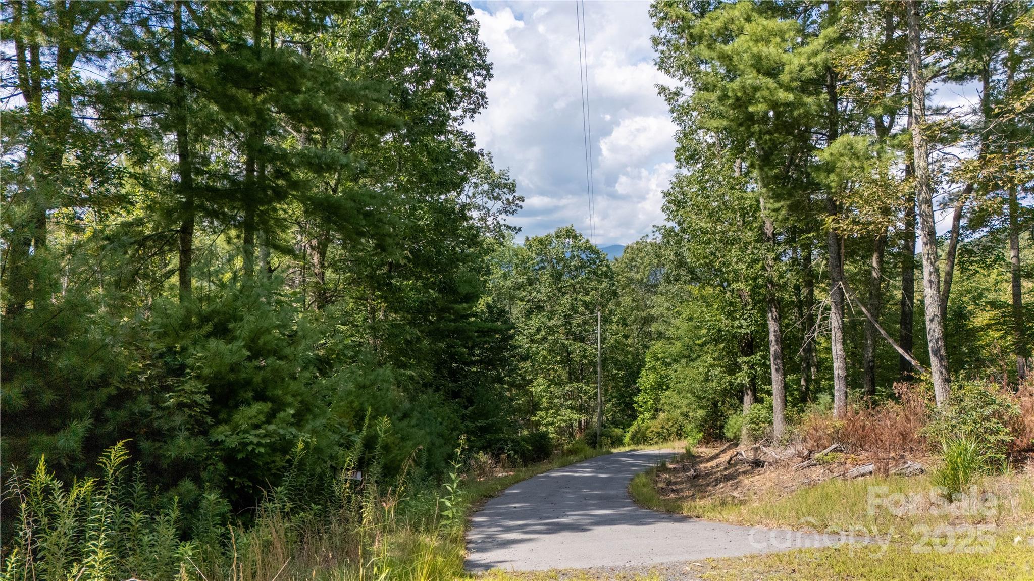 0000 Humpback Mountain Road Property Photo 19
