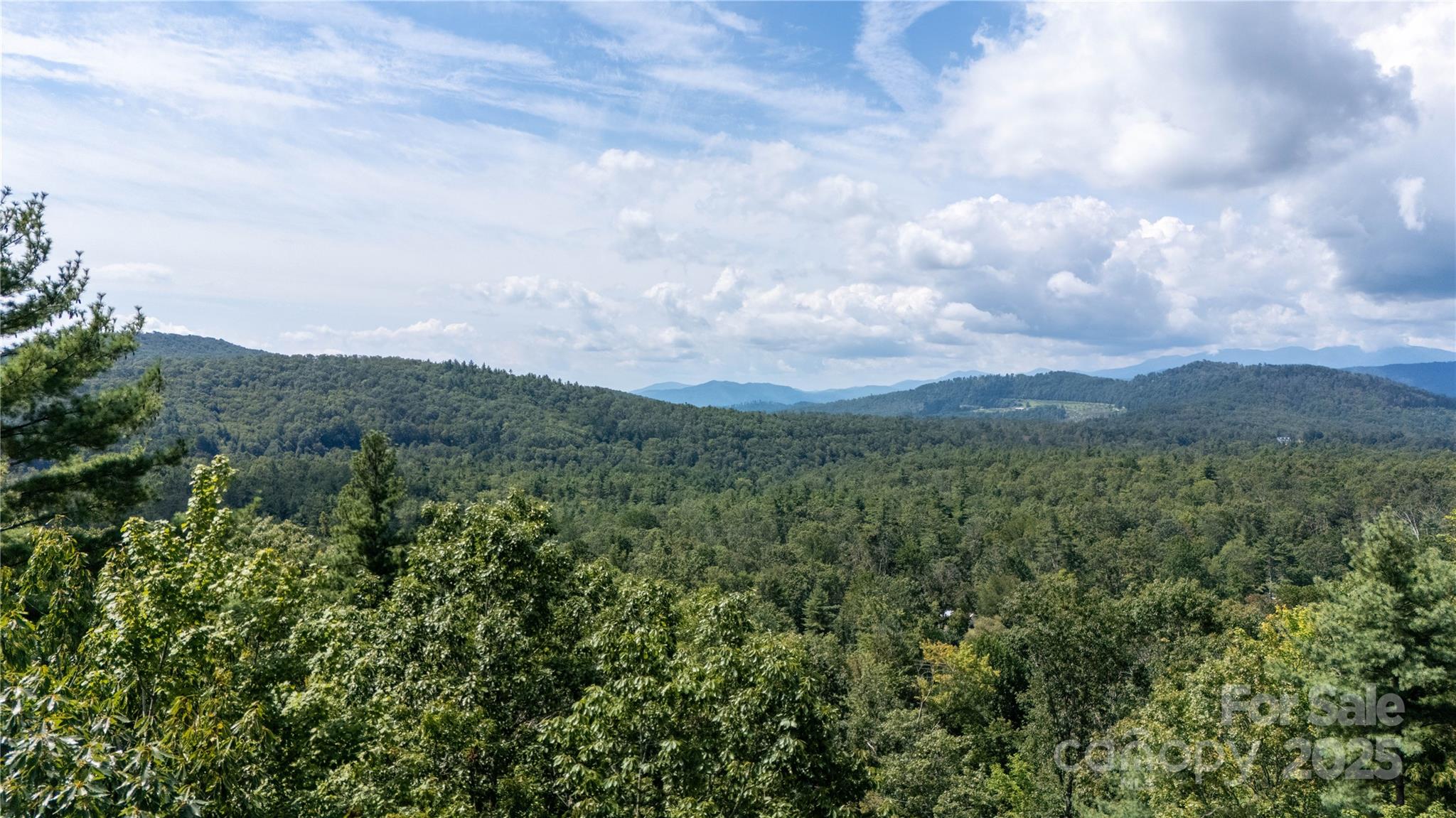 0000 Humpback Mountain Road Property Photo 25
