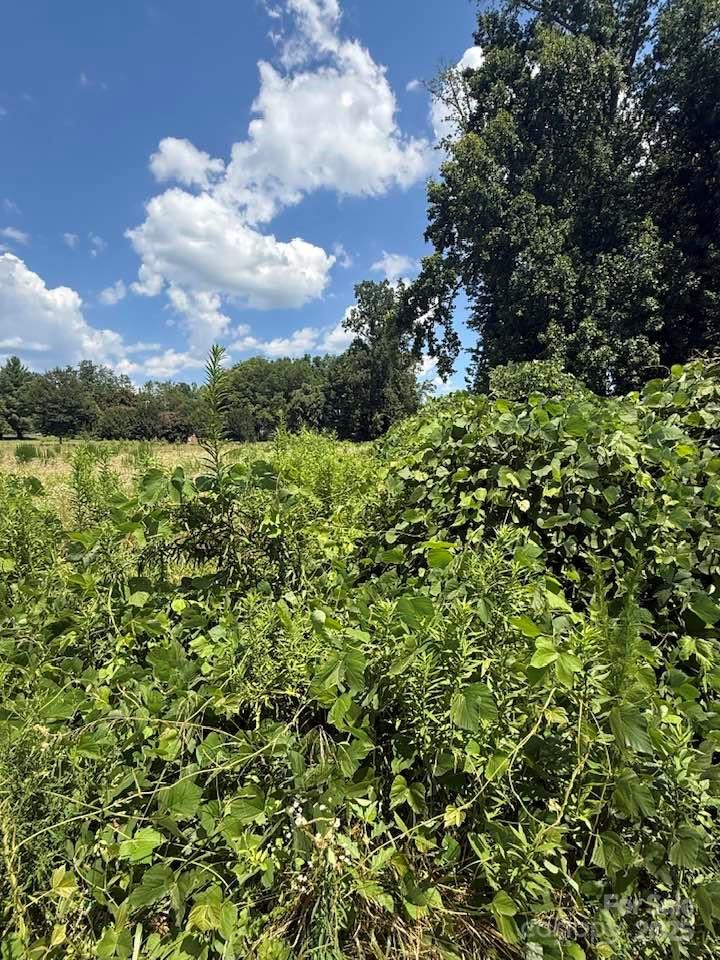 00 Chesnee Road Property Photo 5