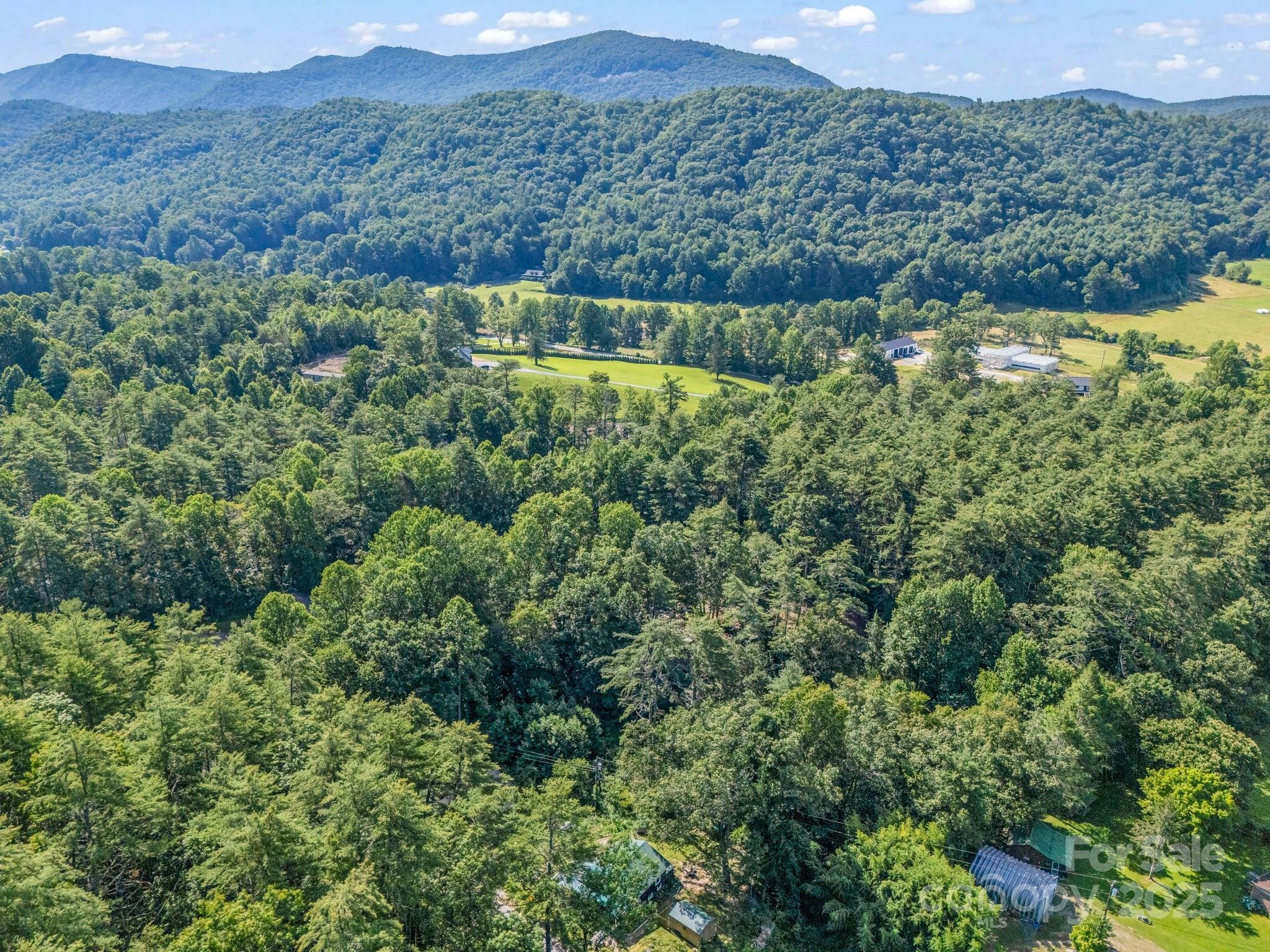 62 Kinard Lane Property Photo 23