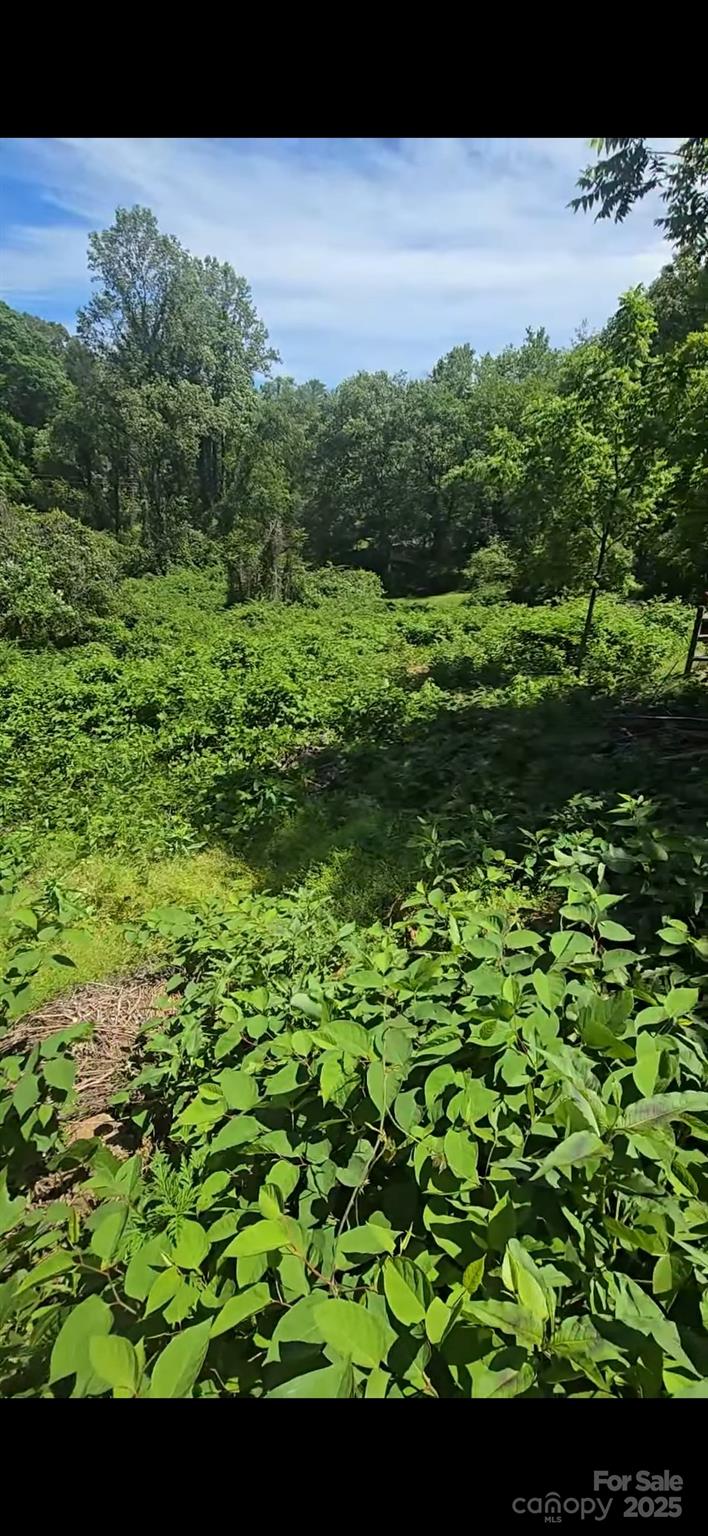 18 Village East Court Property Photo 5