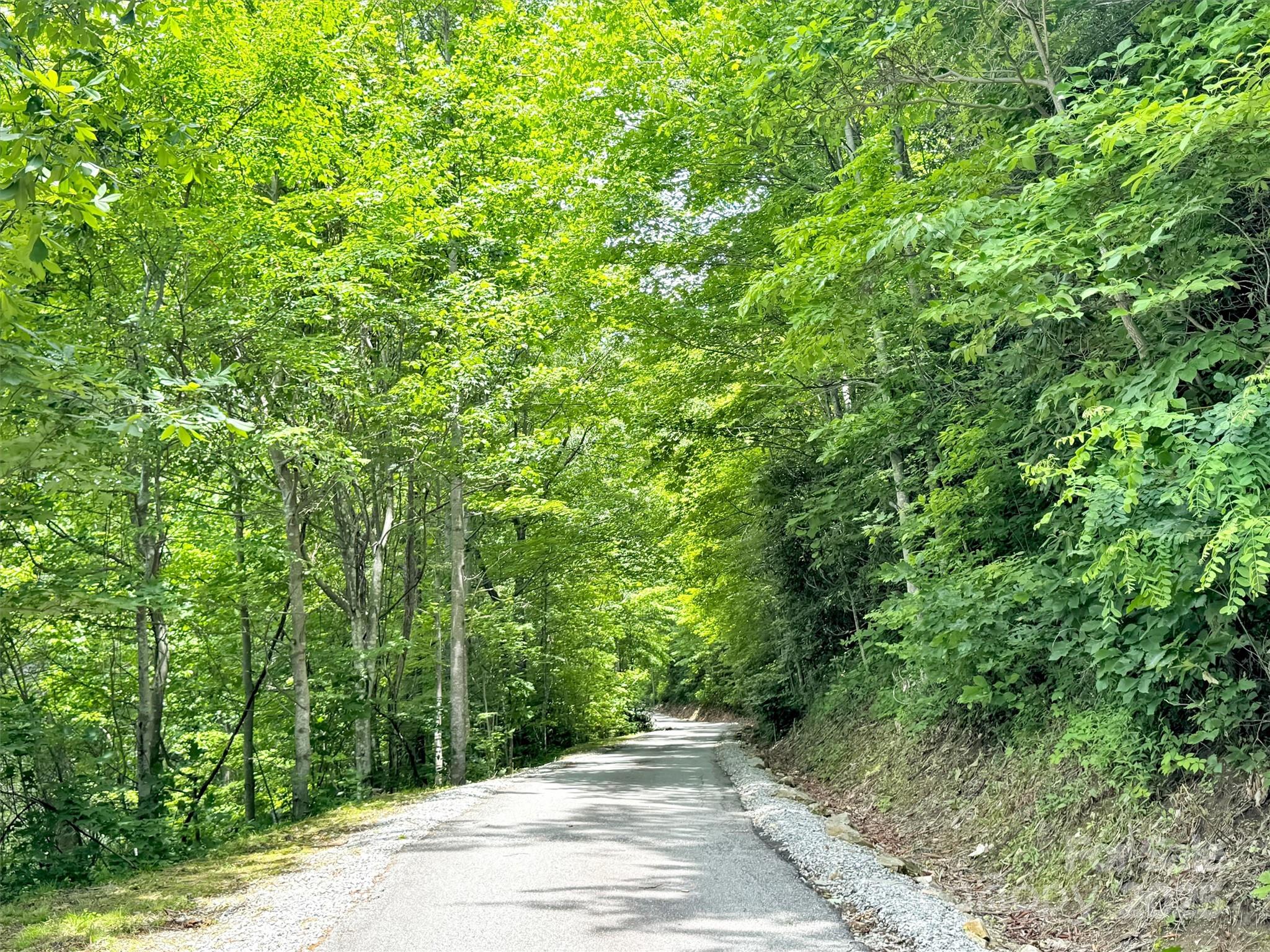 28 Mountain Breeze Drive Property Photo 44