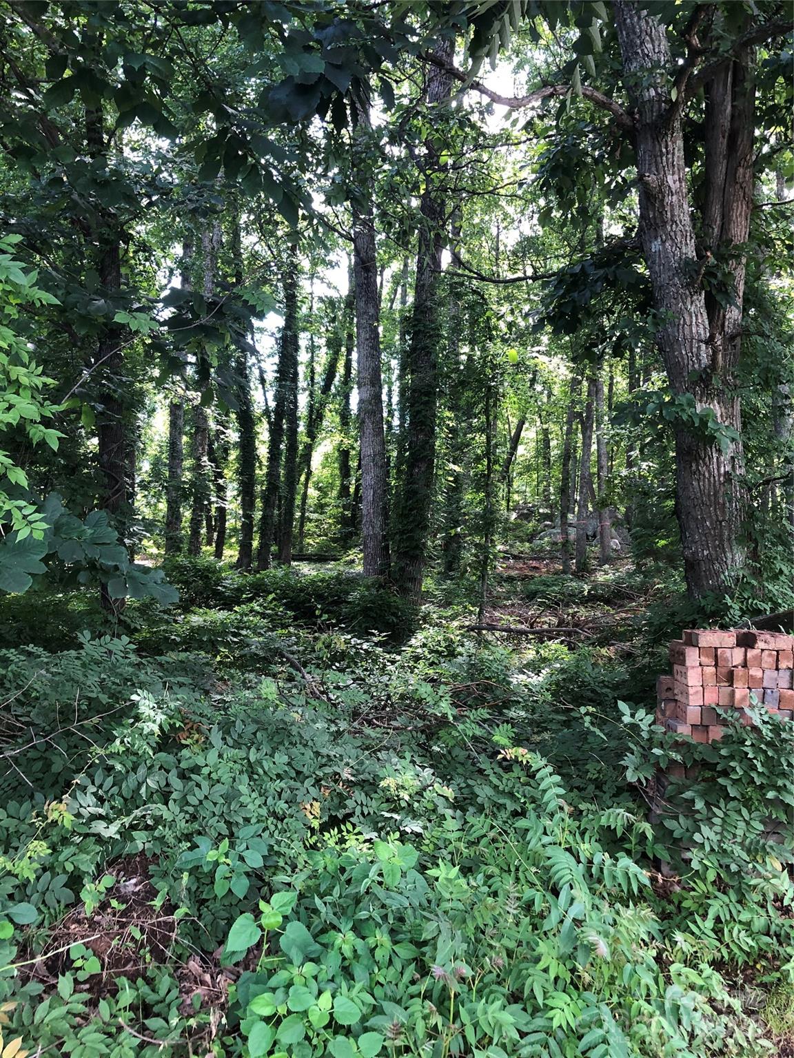Lot 6-7 Ridgeline Drive Property Photo 1