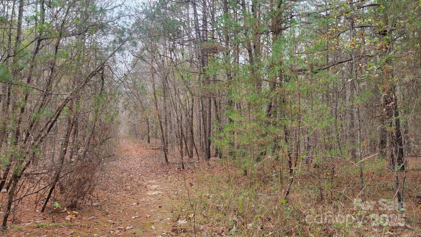 0000 Indian Creek Road Property Photo 3